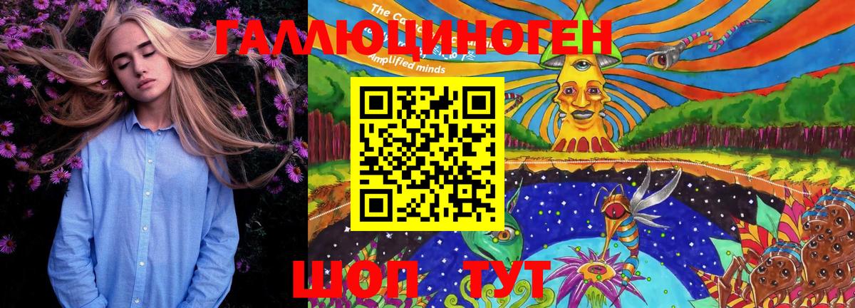 Балахна  Галлюциногенные грибы Psilocybine cubensis  наркота  Вход с VPN 